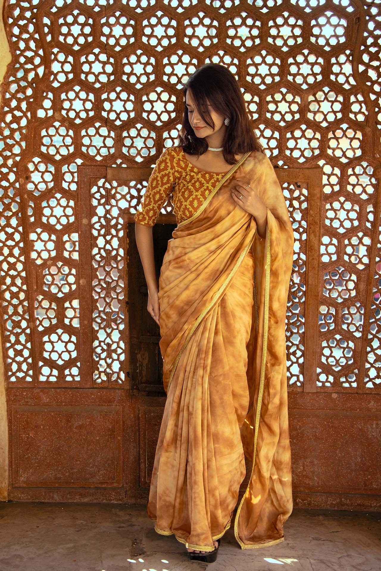 BROWN Tie&dye saree