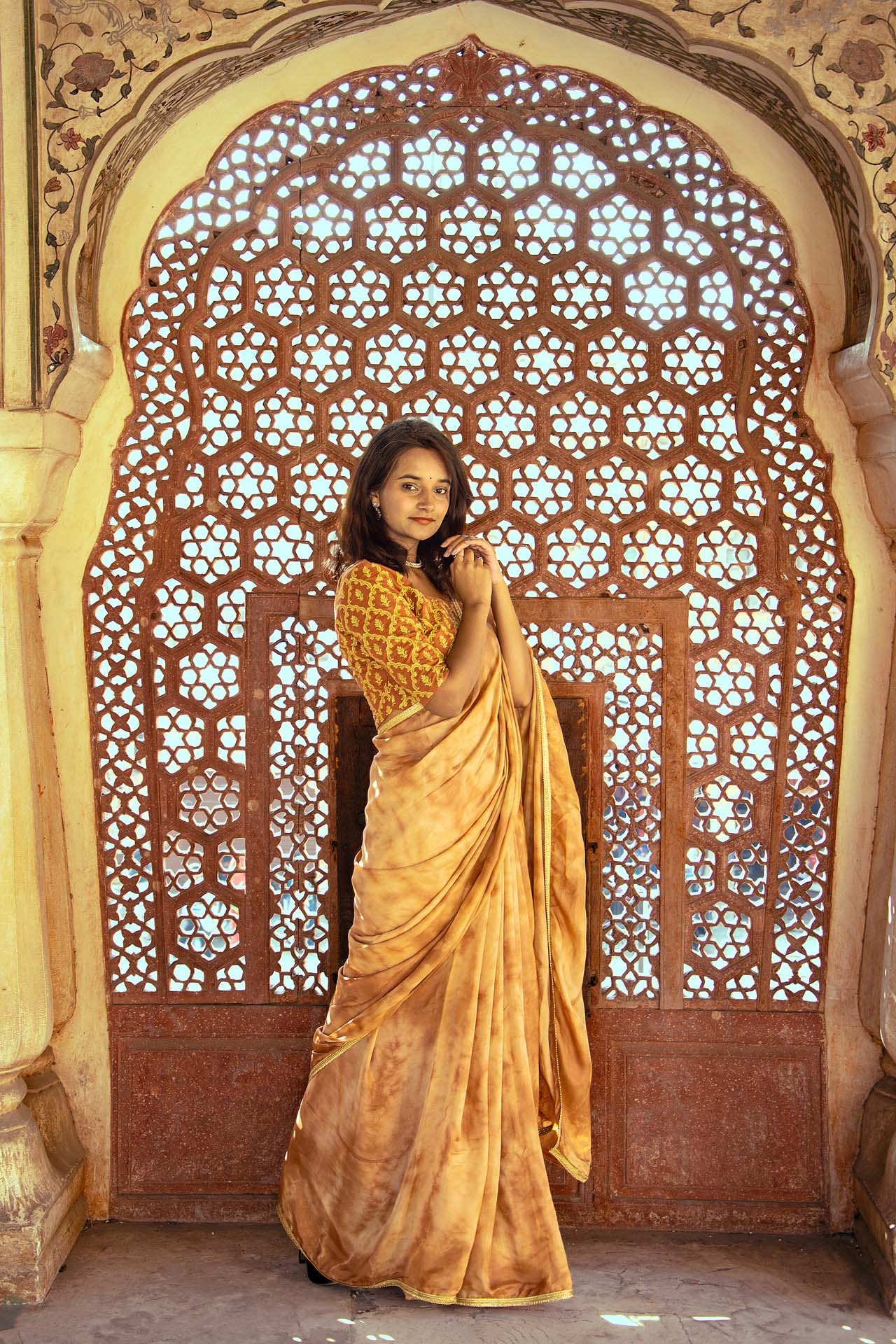 BROWN Tie&dye saree