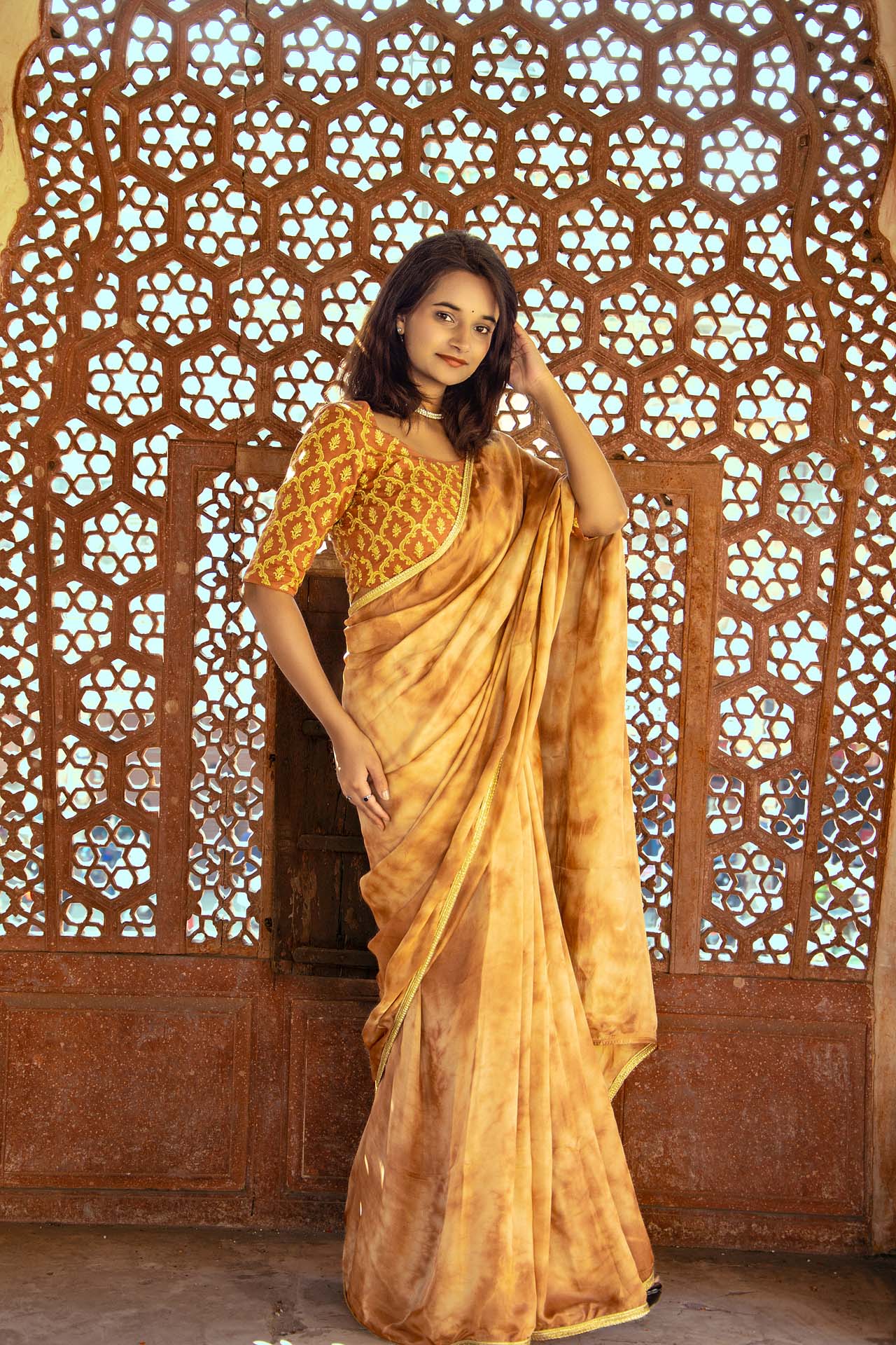 BROWN Tie&dye saree